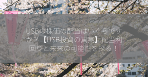 USBの株価の配当はいくらですか？【USB投資の真実】配当利回りと未来の可能性を探る！